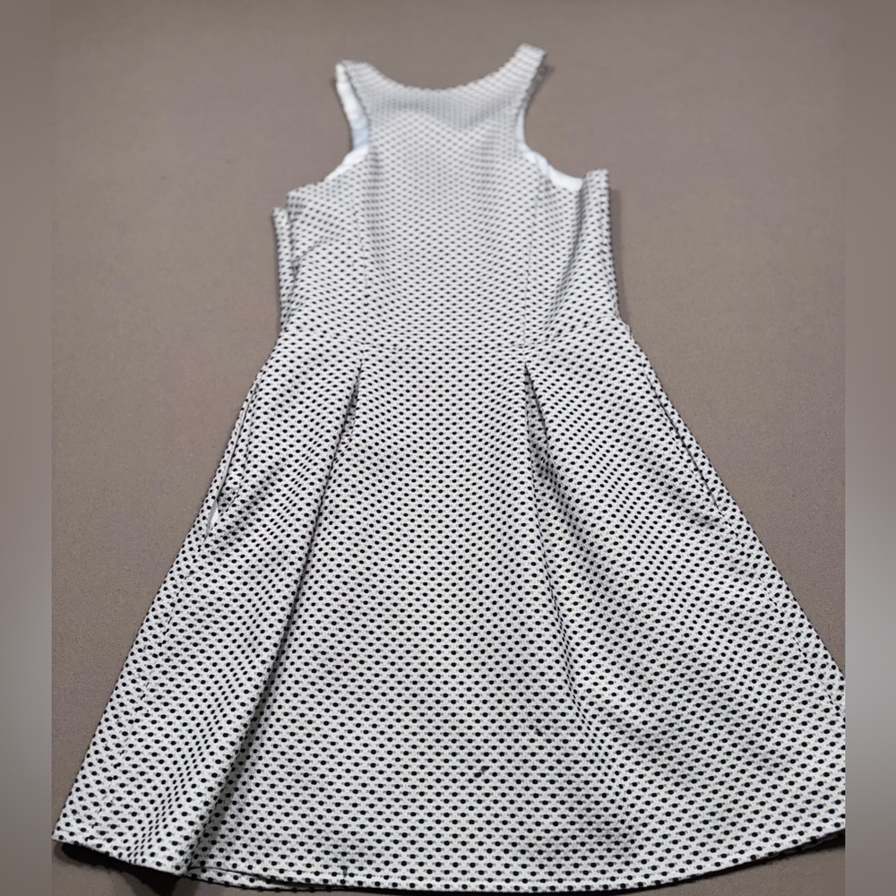 Express White Dress with Black Accents and Zipper Detail - Picture 2 of 8